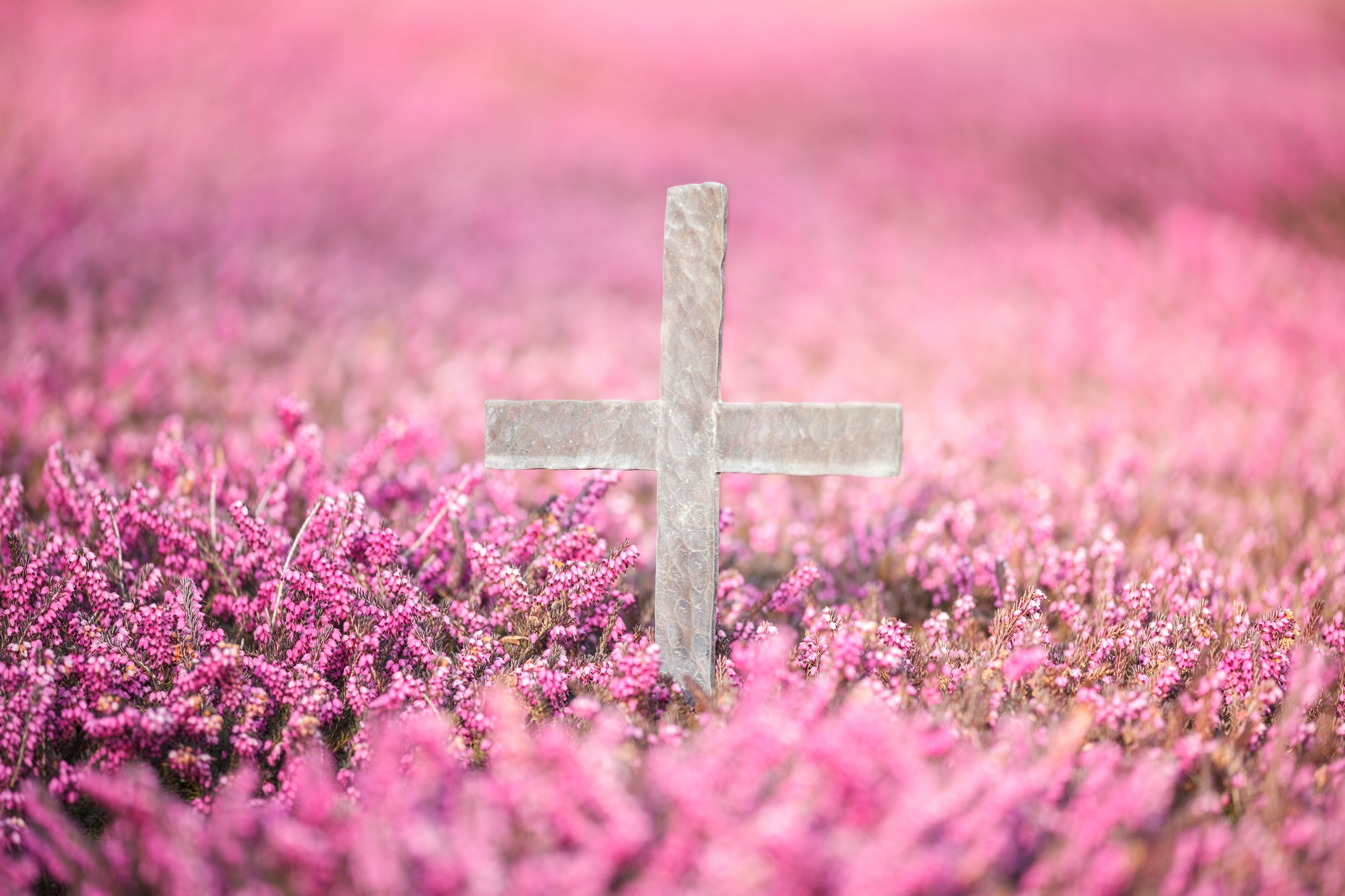 Bestattung am Ort Herne