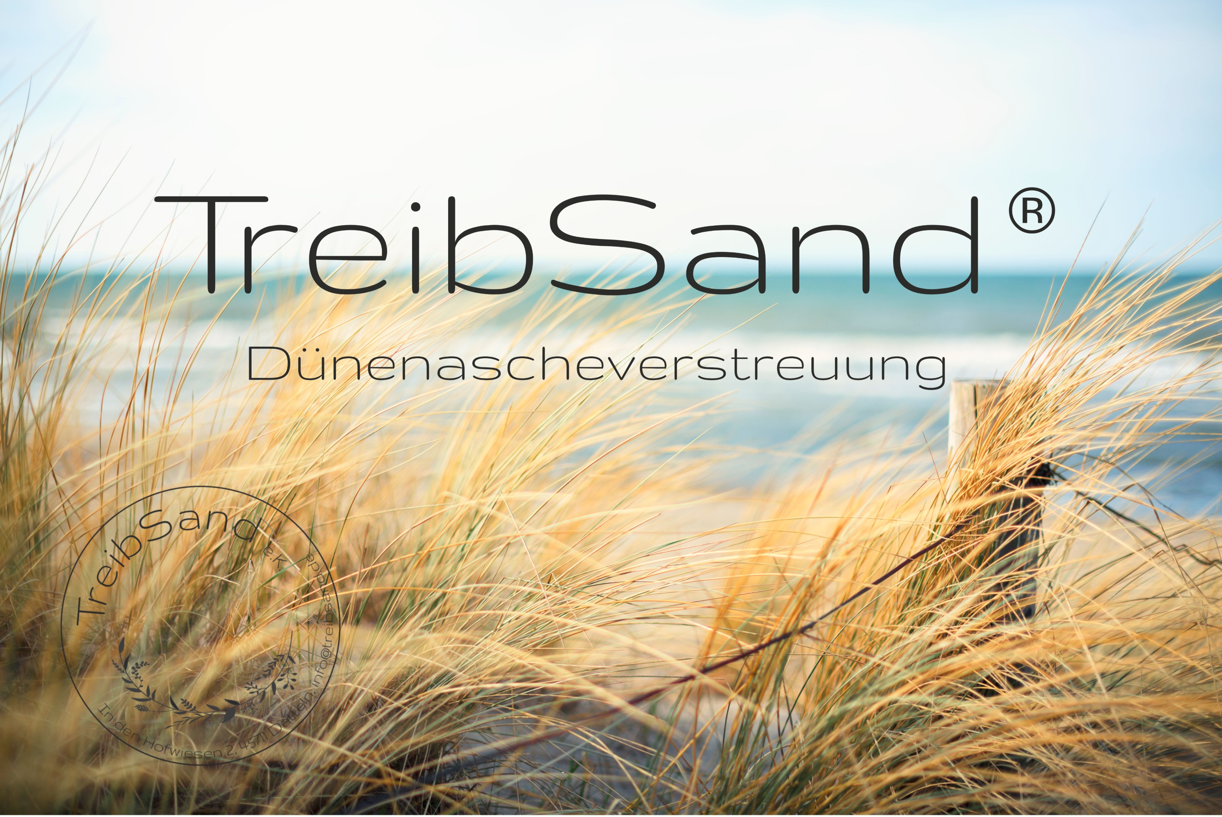 TreibSand Dünenbestattung