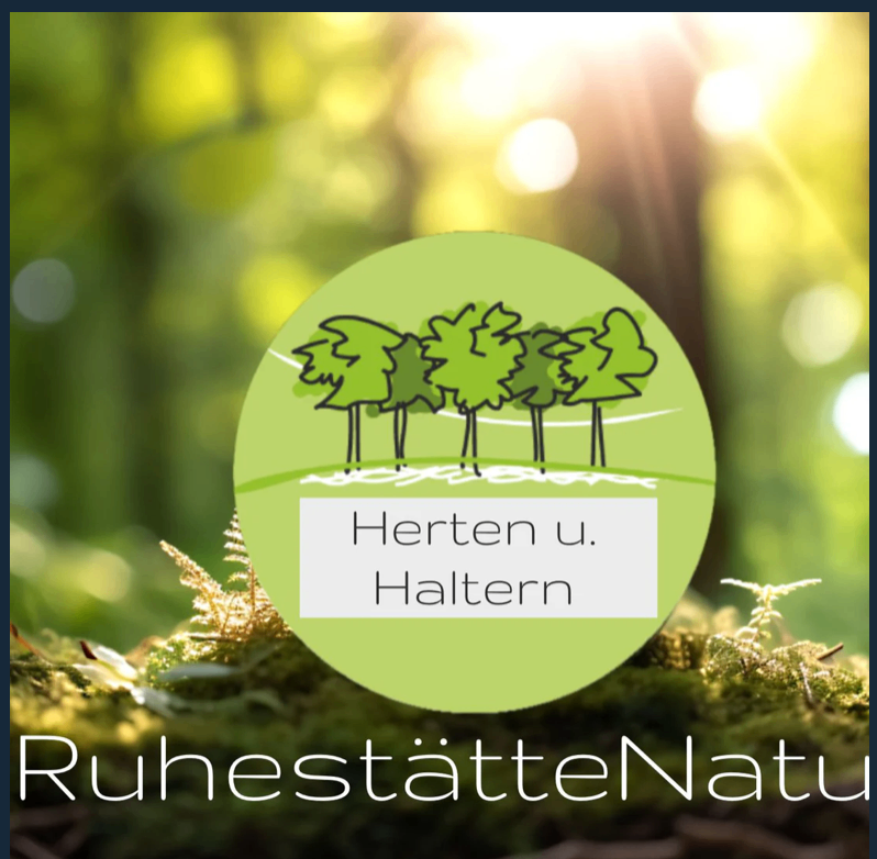 Waldbestattung RuhestätteNatur